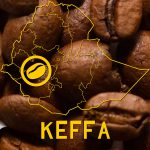 Keffa koffiebonen